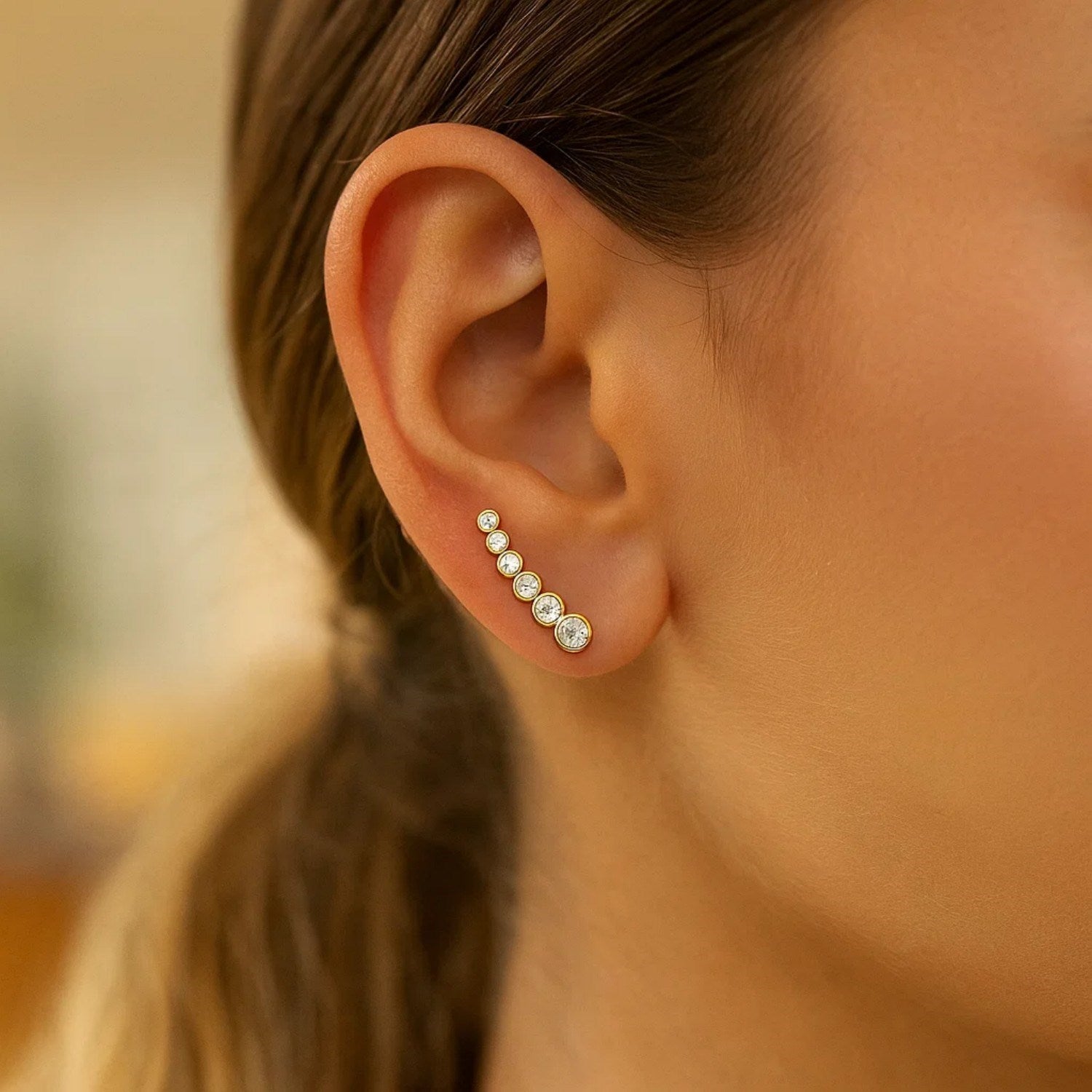 Graduated Circles Climber Earrings Cubic Zirconias | 14K Gold