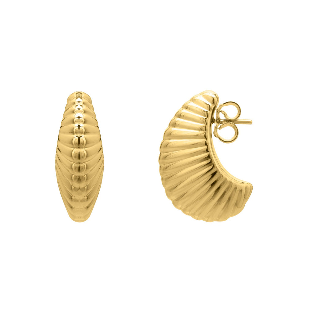 Puffy Graduated Ribbed Shell Hoop Earrings | 14K Gold