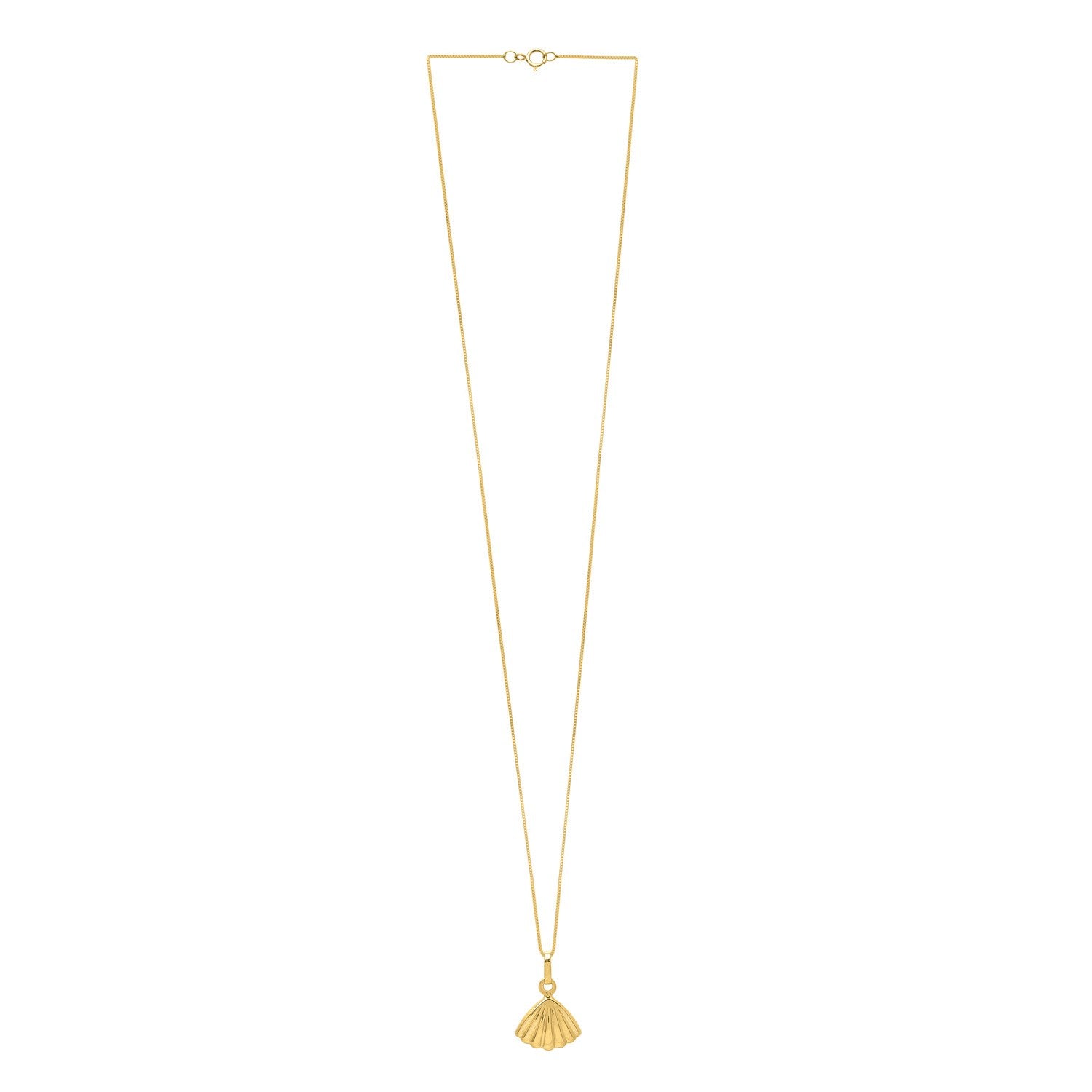 Sea Shell Necklace in 10K Yellow Gold