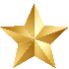 Gold star emblem on a white background
