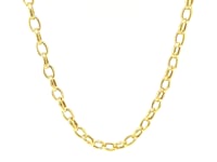 Oval Rolo Chain Necklace in 14K Yellow Gold